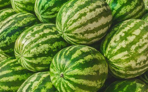 吃瓜群一般在哪家,吃瓜群聚集地的神秘面纱